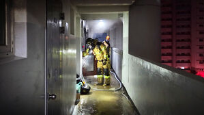 "동생 집 찾았다가" 참변&hellip;30대 형 화단서 숨진 채 발견