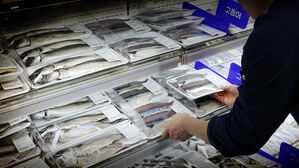 마트 진열대 가득 채웠다&hellip;'가격 절반 수준' 직접 봤더니