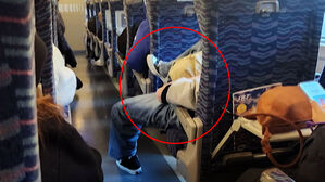 "이런 건 처음 본다" 승객들 경악&hellip;분노 부른 만행 