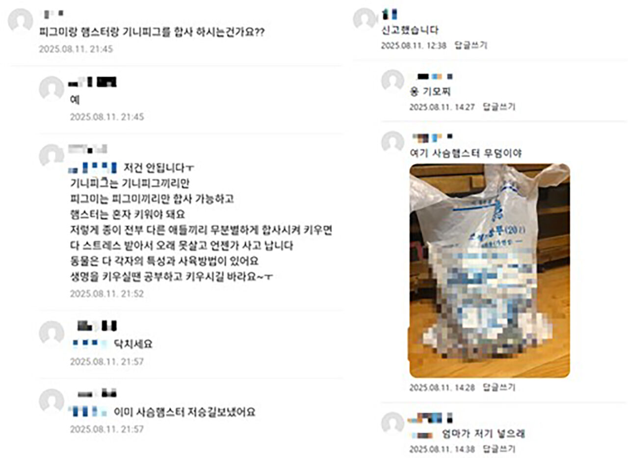 A 씨가 네이버 카페에 작성한 글에 달린 댓글