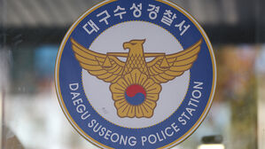 알몸으로 도로 뛰어들더니&hellip;20대 현행범 체포