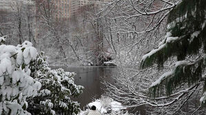 여객기 무려 '8천여 편' 차질&hellip;4년 만 '최대 폭설' 뉴욕 비상