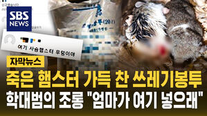 [자막뉴스] 죽은 햄스터 가득 찬 쓰레기봉투 학대범의 조롱 "엄마가 여기 넣으래"