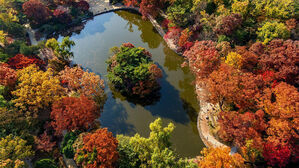 창경궁 연못에 무더기 사체&hellip;"지난달부터 이상" 무슨 일