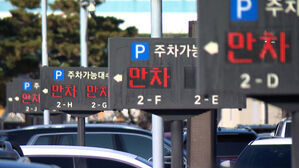 1시간 넘겨도 "이틀치 내라"&hellip;성수기엔 부르는 게 값?