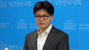 "여론조작 확인" 발표&hellip;한동훈 "문제될 일 아니다"