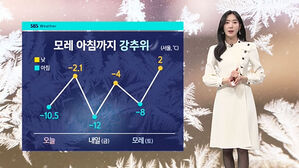 [날씨] '한파 절정' 서울 -12도&hellip;연초 강추위 이어져