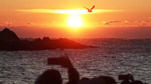 새 희망과 다짐으로&hellip;2026년이 밝았다