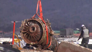 [단독] 1년 지나서야 '가창오리 관찰'&hellip;뒷북 경고