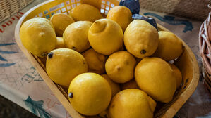 열대과일 키우는 시칠리아섬&hellip;레몬 대신 바나나