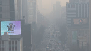 "초미세먼지, 국외에서 발생한 산불이 원인 중 하나"