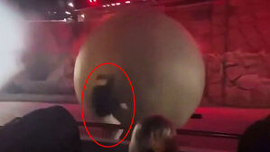 어린이들 향해 '쿵쿵'&hellip;180kg 공 맨몸으로 막은 직원