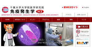 일 연구팀, 만성 염증 원인 단백질 'HLF' 발견