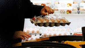 계란 한 판 다시 7천 원대&hellip;산란계 1천 마리 살처분에 물가 비상