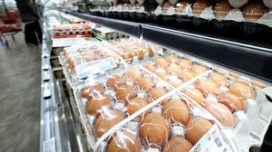 "한 판 7천 원" 더 오르나&hellip;심상찮은 고공행진