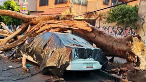 멕시코 뒤흔든 6.5 지진&hellip;"대피 중 1명 사망"