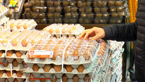 계란 한 판에 7,000원&hellip;심상찮은 고공행진