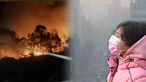 중국 산불에 '억까' 당한 한국인들&hellip;"대체 왜 우리가" 폭발