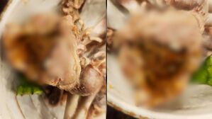 "분변 맛 토할 뻔"&hellip;'닭똥' 논란 유명 삼계탕집, 항의하자