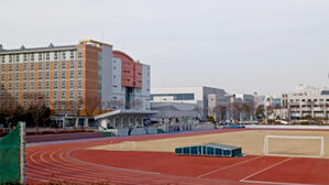 동료 교수 자녀 윗몸일으키기 개수 부풀렸나&hellip;경찰, 한체대 수사