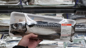 해수부, 고등어 가격 뛰자 "2만t 할당관세&hellip;물량 최대 확보"