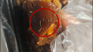 [사건X파일] '털 족발' 환불 요구하자&hellip;돌아온 욕설