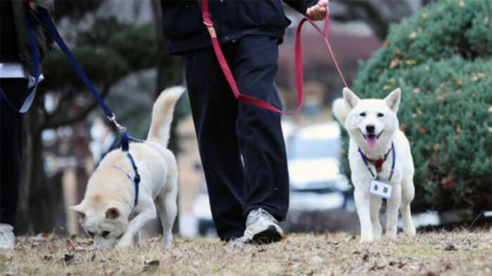 광주 우치동물원에서 생활하는 곰이·송강 (사진=연합뉴스)