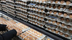 농식품부, 계란 가격 안정 위해 미국산 224만 개 시범 수입