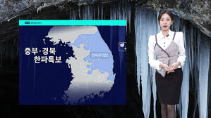 [날씨] 중부&middot;경북 '한파특보'&hellip;아침 -10도 안팎 '강추위'