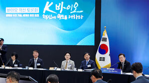 새 정부 들어 의약품 허가 급증&hellip;3년 만에 증가 반전