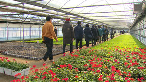 "너무 좋아요" 시민들 호평&hellip;안양 '비닐하우스 맨발길' 걸어 보니