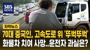 [자막뉴스] "고속도로 무단횡단, 대체 왜?" 70대 중국인, 화물차 치여 사망