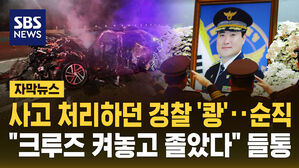[자막뉴스] "크루즈 켜놓고 졸았다"&hellip;사고 처리하던 경찰 숨지게 한 운전자, 알고 보니