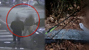 담배 피우다 트렁크서 '슥'&hellip;"화살이 '퍽'" 산책하다 공포 