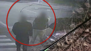 반려견 산책 중 화살이 '퍽'&hellip;용의자 2명 추적