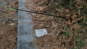 경찰, 강아지와 산책 중이던 여성 주변에 화살 쏜 2명 입건