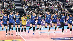 'V리그 올스타 보러 가자'&hellip;15일부터 입장권 판매