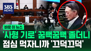 [바로이뉴스] '사형 기로' 꿈뻑꿈뻑 졸더니 점심 먹자니까 '끄덕끄덕'