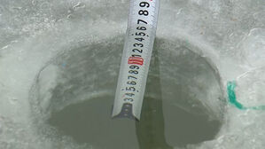 가까스로 얼어서 '손맛'&hellip;"이러다 사라질라" 우려도