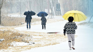 내일까지 전국에 많은 눈&hellip;호남 20cm 이상