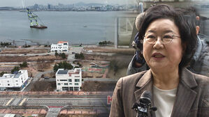 [아리]영종도 땅 시세 차익 '31.7억' 확인..적합 16&middot;부적합 47(OK) [단독]