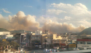 경북 의성, 1년 만에 또 산불&hellip;대응 2단계&middot;주민 대피령