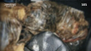 시신과 4개월간 동거한 3인조&middot;&middot;&middot;살인 주도한 주범은 누구?