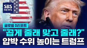 [글로벌D리포트] "곱게 줄래 맞고 줄래?" 압박 수위 높이는 트럼프