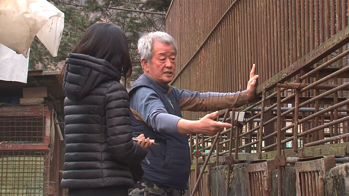 [취재파일] 곰 사육 '종식' 선언&hellip;정작 끝난 건 아무것도 없다