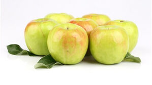 '호남의 지붕' 500m 산지마저 흔들리는 사과 재배