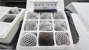 '역대 최대' 중국 농산물 불법 수입 적발&hellip;'커튼치기' 수법