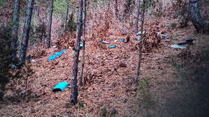 여주 무인기와 똑같다&hellip;"공동조사 제안 검토"