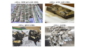 작년 폐기된 화폐 쌓으면 에베레스트산 17배