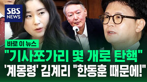 [바로이뉴스] "기사 쪼가리 몇 개로 탄핵"&hellip;'계몽령' 김계리 "한동훈 때문에!"